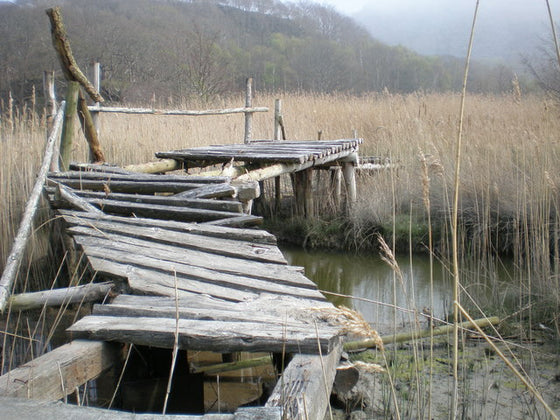 The advantage of steel versus wood?